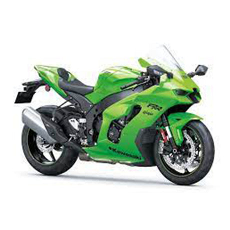 KAWASAKI ZX10RR NINJA
