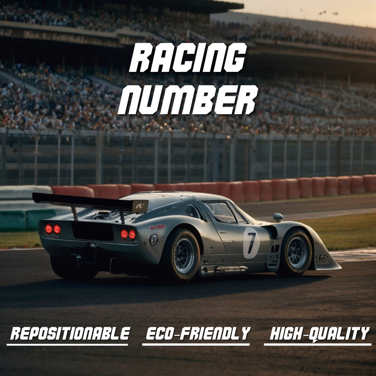 Race Track Decals / Magnet - Standard