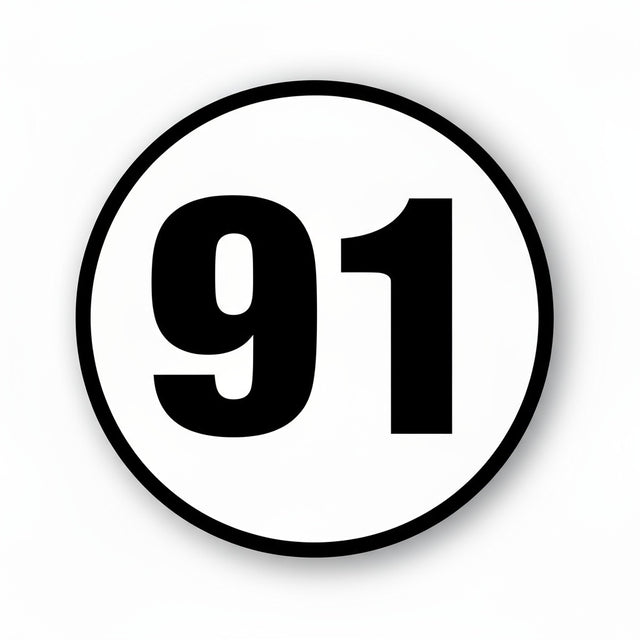 Custom Racing Number Stickers - Race Circle Sticker with Outline - Durable Track Day Decals (2 of set) - 006B