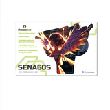 For Sena 60S Skin Stickers Communication System Protection Graphics Decal Angel Anime girl Motorcycle Accessories