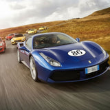 Custom Racing Number Stickers - Race Oval Number - Customizable Durable Decals (Set of 2) - 006J