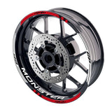 For Ducati Monster 821 797 696 Logo MOTO 17 inch Rim Wheel Stickers GP02 Stripes.